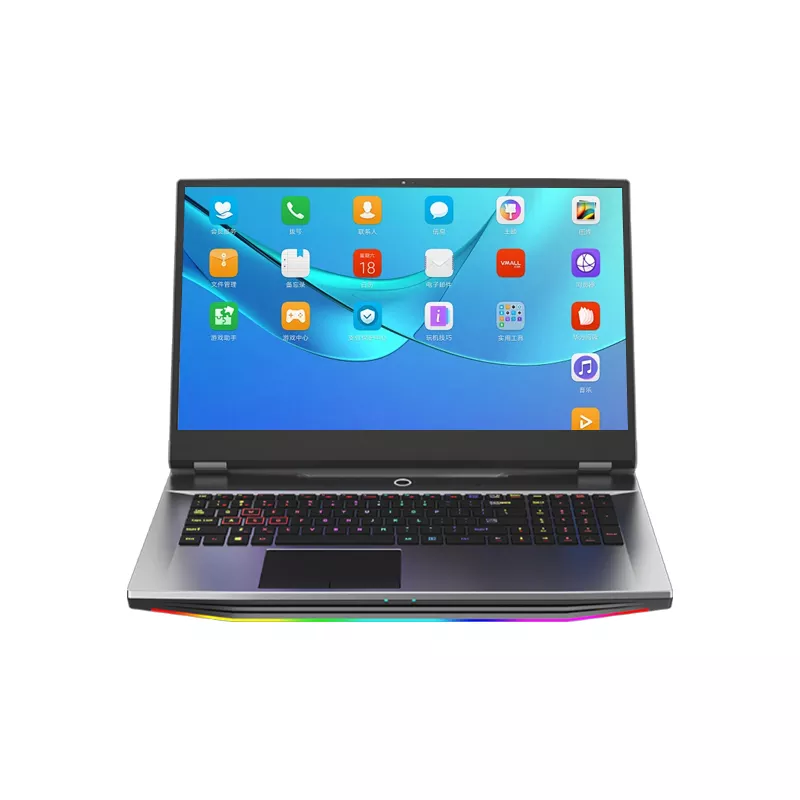 OEM OED 17.3 Inch 256 512GB 1T CPU I7-10750H Tablet PC Laptop Notebook